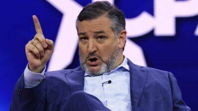 Ted Cruz fires back at Gregg Popovich after Spurs coach talked 'myth' of Second Amendment