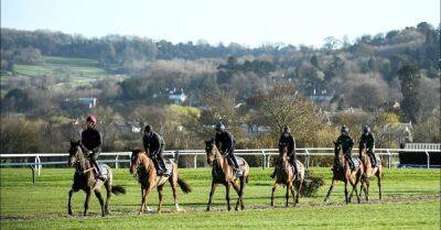 Profits at Dermot Weld's Curragh horse racing firm increase to €4.47 million - breakingnews.ie - Ireland