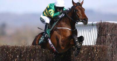 Gordon Elliott - Garry Owen - Grand National Festival 2023 day two tips as Garry Owen predicts a hat trick for Fakir D’oudairies - dailyrecord.co.uk -  Sandown - county Brown - county Chase