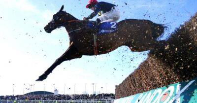 Animal rights activists plan to enter Aintree racecourse to stop Grand National - breakingnews.ie - Britain