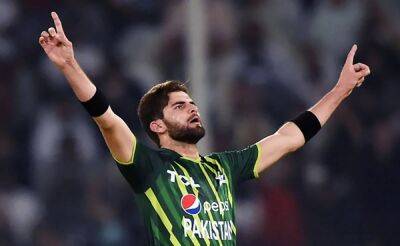 Shaheen Afridi - Babar Azam - Tom Latham - Will Young - Haris Rauf - "Shaheen Afridi We All Want": Pakistan Star Picks First International Wicket After PSL Triumph. Watch - sports.ndtv.com - New Zealand - Afghanistan - Pakistan -  Lahore