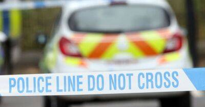 Police appeal for information after man, 20, dies in fatal collision