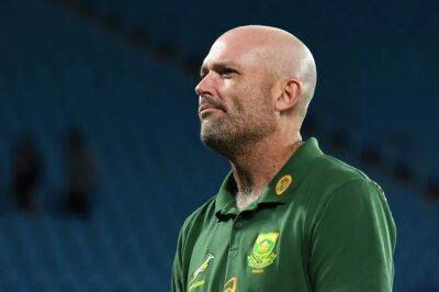 'The decision is made': Nienaber to step down as Springbok coach after World Cup