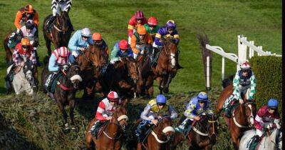 Noble Yeats - Grand National 2023 horses that fell and didn't finish - manchestereveningnews.co.uk - Manchester