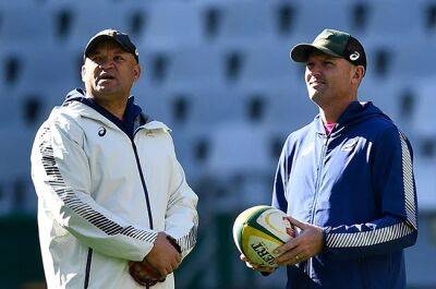 Stick or Davids tipped to succeed Nienaber as Springboks coach