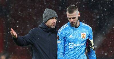 Manchester United manager Erik ten Hag delivers glowing verdict on goalkeeper David de Gea