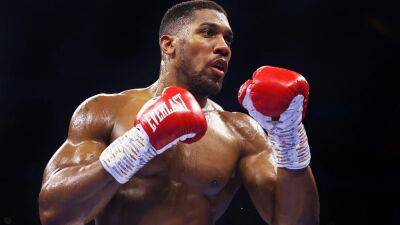 Joshua confirms 'big fight' with Wilder for December