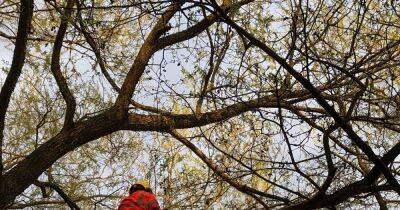 Young swan left with 'permanent hole' in its tongue as RSPCA sees surge in fishing tackle incidents - manchestereveningnews.co.uk - Manchester - county Centre - county Park