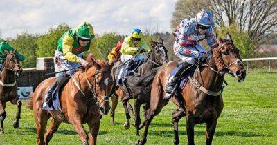 Punchestown and Perth Festival tips plus best bets for Ludlow, Catterick and Lingfield