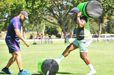 Big Bok coach succession hint as SA Rugby confirms new long-term deals for Stick, Davids