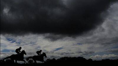 Don't pit sport against equestrian industry - Varadkar on FAI commissioned report on betting levy - rte.ie - Ireland