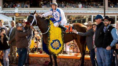 Wild On Ice euthanized after suffering injury during training for Kentucky Derby