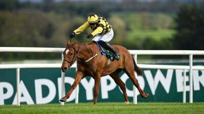 State Man eases to Champion Hurdle glory at Punchestown