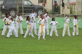 Students, parents revel In Davebrook’s maiden inter-house sports competition - guardian.ng - Nigeria