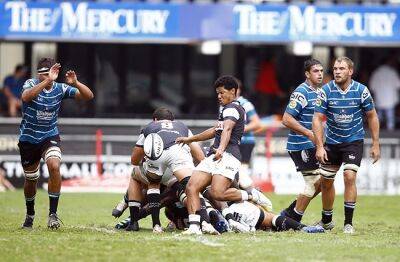 Currie Cup - Sharks dominate Griquas to consolidate 3rd spot in Currie Cup - news24.com -  Cape Town - county De Witt -  Durban