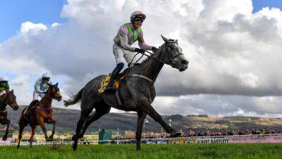 Willie Mullins - Lossiemouth sparkles for Mullins in commanding success - rte.ie - France -  Dublin -  Punchestown -  Leopardstown