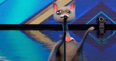 Fuming Britain's Got Talent fans ask 'what is happening?' as they're left confused by singing cat with boycott threat