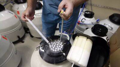 Across Europe, a lot of women turn to Danish sperm to get pregnant. Here's why - euronews.com - Denmark - Netherlands - Portugal