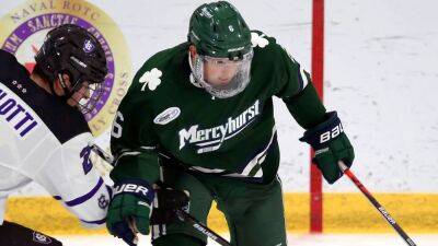 Carson Briere, son of Flyers' Danny Briere, kicked off Mercyhurst hockey team as he faces criminal charges - foxnews.com - state Pennsylvania - county Wells