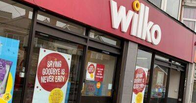 Wilko shoppers say it's 'finally good news' as one of its most popular deals returns in all stores until April 11