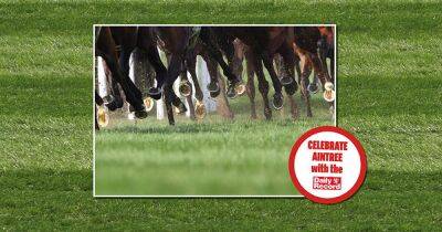 Noble Yeats - Celebrate Aintree with great coverage and reader offers courtesy of your Daily Record - dailyrecord.co.uk