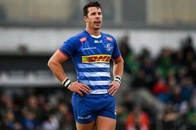 'It's the best of the best': Stormers midfield maestro Nel relishing Champions Cup intensity