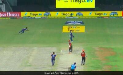 Watch: 40-Year-Old Amit Mishra Defies Age To Take Stunning Diving Catch