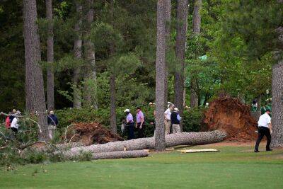 Masters suspended after massive trees fall at Augusta National, all patrons avoid injury