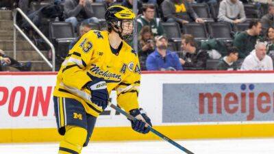 Jack Hughes - Devils sign highly rated defense prospect Luke Hughes - espn.com -  Boston - state New Jersey - state Michigan - county Hughes