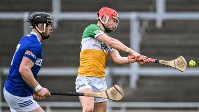 Offaly Gaa - Eoghan Cahill inspires Offaly to McDonagh Cup win over Laois - rte.ie