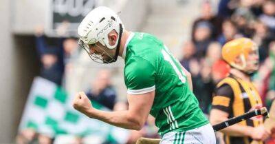 Limerick ease past Kilkenny to claim Division 1 title