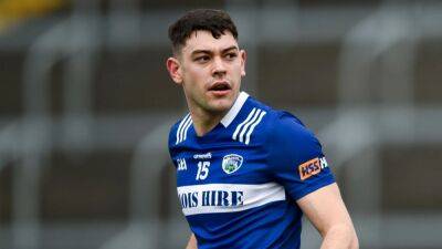 Mark Barry's haul crucial as Laois overcome Wexford