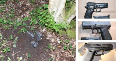 BREAKING: Three guns found wrapped in bags and buried next to tree