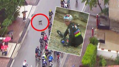 Adam Blythe - Remco Evenepoel crashes after dog runs into road in shocking moment at Giro d’Italia on Stage 5 - eurosport.com - Belgium