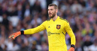 'Very cruel' - Manchester United told why David de Gea criticism could be unjust