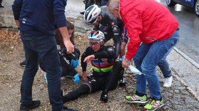 Belgian cyclist crashes after dog runs into peloton during race in Italy