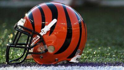 Bengals lobbied NFL to host Black Friday game on annual basis - ESPN