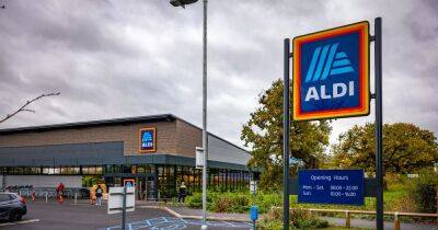 'Aldi's £30 kitchen gadget makes such nice food, I'll never buy McDonald's again'
