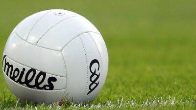 'Right signals' sent after GAA assault sentencing - referees' committee chair - rte.ie - Ireland - county Wexford