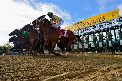 How to watch the 2023 Preakness Stakes: TV channel, live stream info, schedule