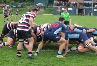 Kent 43 Somerset 7: Bill Beaumont County Championship, Division 1 South report