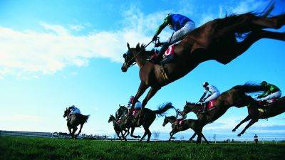 Horse breeding and racing worth €2.46 billion to Irish economy in 2022 - HRI - rte.ie - Ireland