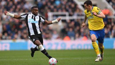 Newcastle vs Brighton: How to watch, live stream link, team news