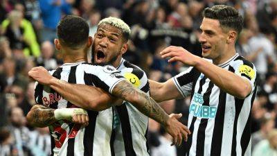 Newcastle close in on Champions League spot with convincing Brighton win