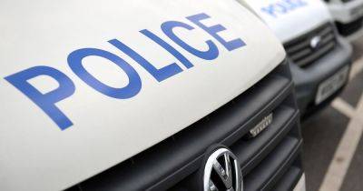 Man charged after 'dangerous dog' killed by armed police