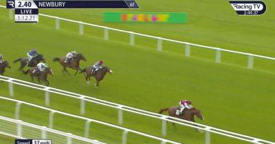 Zoulu Chief in 150/1 Newbury 'shock of shocks' as massive outsider lined up for Royal Ascot