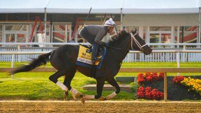First Mission scratched from Preakness over vet concern: ‘It’s unfortunate’