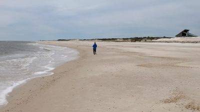 The best beaches in America: Idyllic Florida island beach ranked as the best in America