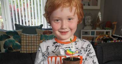 The little boy making a difference to those in hospice care one sunflower at a time - manchestereveningnews.co.uk - Manchester - county Hyde - county Newton