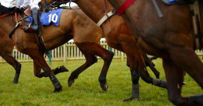 Horse Racing Ireland says industry being hammered by rising insurance costs